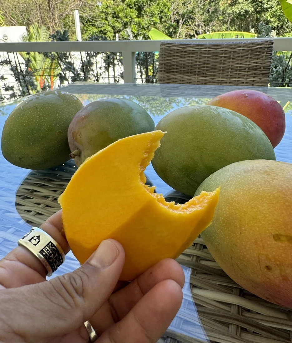 Fresh tropical fruit from the Costa Rican coast